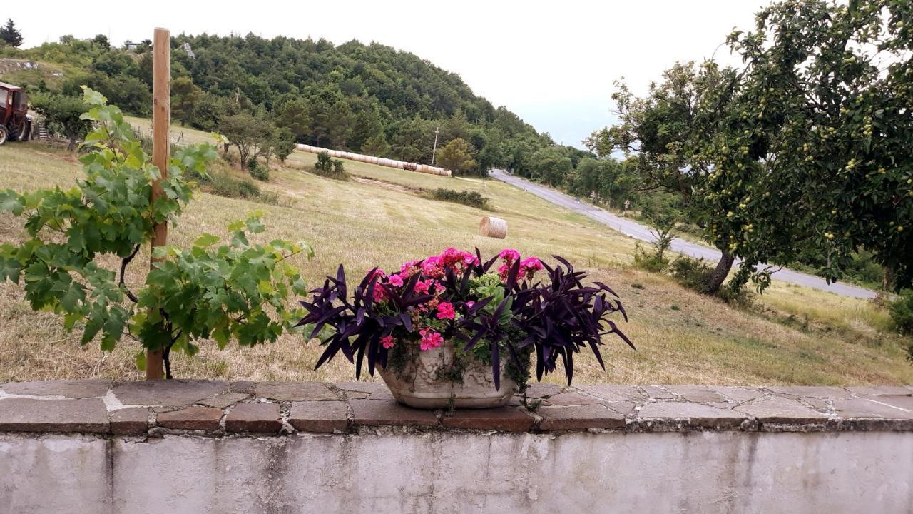 Agriturismo Persichitti Torricella Peligna Exterior photo